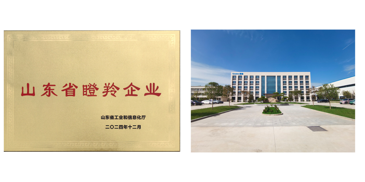 Chargeur déblayeur à chenilles de type.jpg